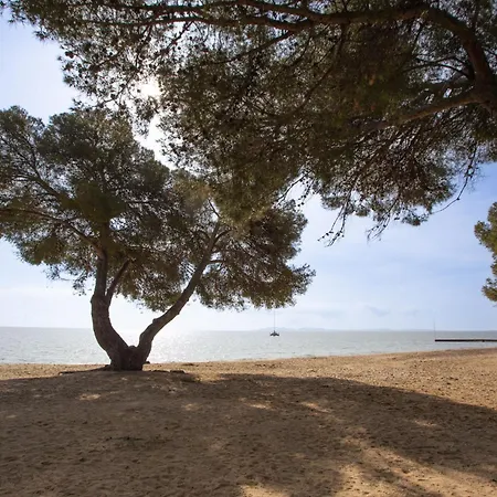 Le Belvedere By Interhome La Londe-les-Maures